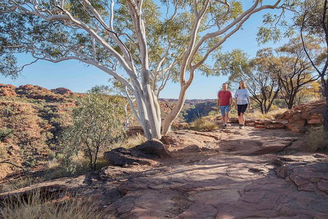 3-Day Tour From Uluru (Ayers Rock) To Alice Springs Via Kings Canyon - Accommodation Melbourne 1