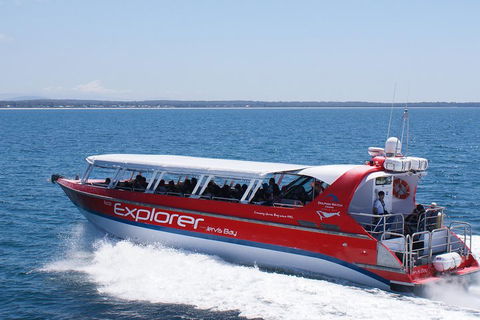 Whale Watching Jervis Bay - Melbourne 4u 1