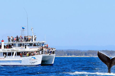 Whale Watching Jervis Bay - Melbourne 4u 4
