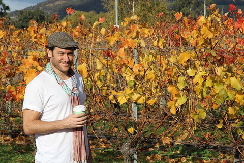 Signature Tour - Accommodation Melbourne 0