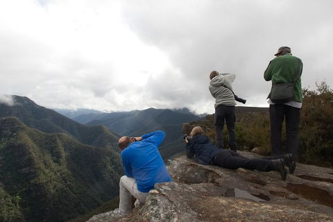 From The Mountains To The Bay - 4 Day Rediscovery Private Tour - Accommodation Melbourne 4