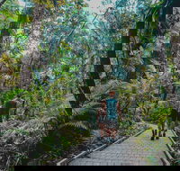 Full Day Cooktown Private Tour - Accommodation Melbourne