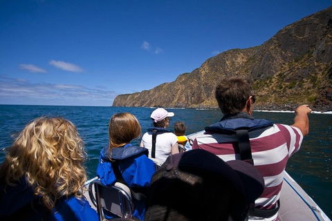 Seal Island Boat Tour From Victor Harbor - Accommodation Melbourne 0