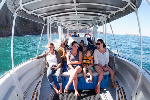 Seal Island Boat Tour From Victor Harbor - Accommodation Melbourne 1