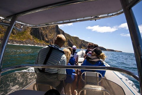 Seal Island Boat Tour From Victor Harbor - Accommodation Melbourne 2