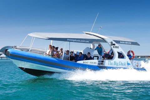 Seal Island Boat Tour From Victor Harbor - Accommodation Melbourne 3