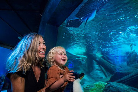 SEA LIFE Sunshine Coast Aquarium Entrance Ticket - Accommodation Melbourne 0