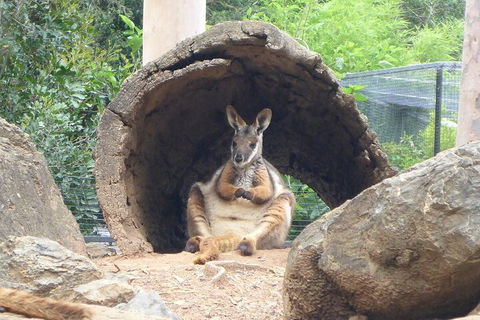 Featherdale Wildlife Park General Admission - Accommodation Melbourne 2