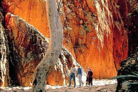 West MacDonnell Ranges Day Trip From Alice Springs - Accommodation Melbourne 3