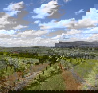 Hunter Valley Wine Tour from Sydney incl Lunch Cheese Chocolate and Distillery - Melbourne 4u