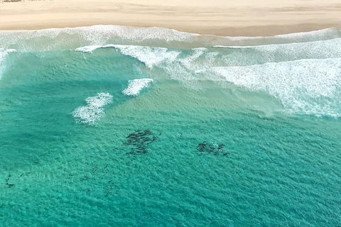 Coastal Helicopter Shared Flight - 20 Minutes - Accommodation Melbourne 4