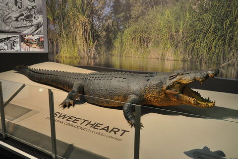Explore Darwin City Sights Including Key Attractions - Melbourne 4u 2