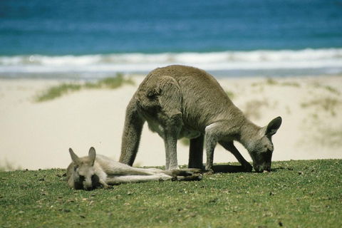 Great Ocean Road Highlights Tour - 2 Days, 1 Night - Accommodation Melbourne 2