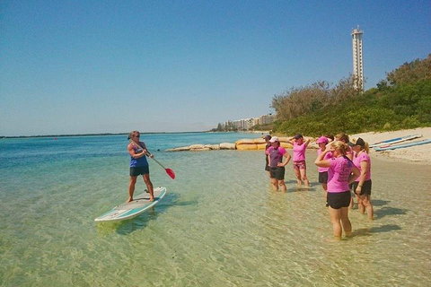 Golden Beach 1-Hour Stand-Up Paddleboard Hire On The Sunshine Coast - Accommodation Melbourne 1
