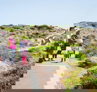 Margaret River Coastal and Wildlife Eco Trip from Busselton or Dunsborough - Accommodation Melbourne